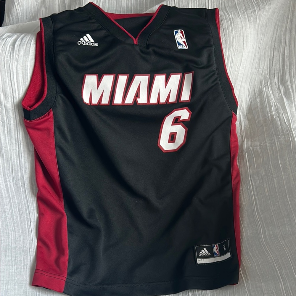 Adidas Authentic Miami Heat LeBron James (6) Kids Basketball Jersey (Medium)